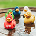 Naturkautschuk-Ente klassik, gelb / orange